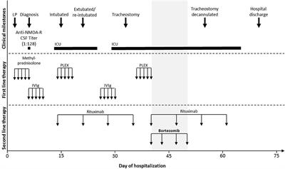 Early Bortezomib Therapy for Refractory Anti-NMDA Receptor Encephalitis